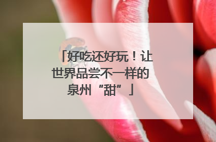 好吃还好玩！让世界品尝不一样的泉州“甜”